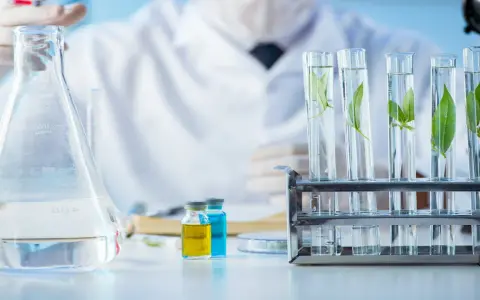 Co można robić po studiach biotechnologii? Odkryj ciekawe kariery