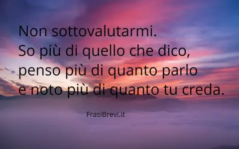 Non sottovalutarmi. So più di quello che dico, penso più di quanto parlo e noto più di quanto tu creda. Queste frasi brevi sono un monito contro la menzogna.