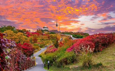 Un sentiero serpeggia tra foliage autunnale vibrante, con la Torre di Seoul in lontananza. Un'immagine perfetta di cosa vedere a Seoul in autunno.