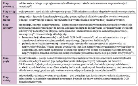 Testy integracyjne u dzieci: Przykłady i co mówią o rozwoju SI?