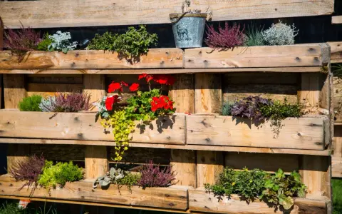Fioriere con pallet fai da te piene di erica, gerani rossi e piante verdi. Un secchiello decorativo completa l'allestimento.
