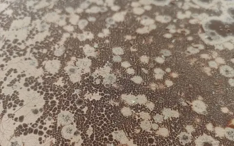 Texture craquelée marron et beige, rappelant un point blanc chocolat, avec des motifs aléatoires et des petites bulles.