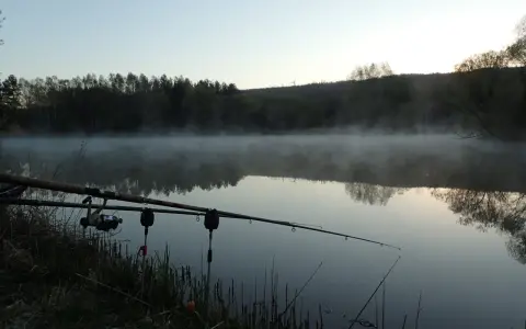 Mglisty poranek nad jeziorem, wędki feeder gotowe do akcji.