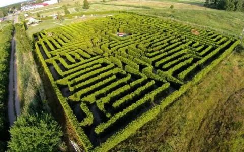 Labirynt Park Łeba: Cennik, atrakcje, godziny. Zaplanuj idealną wizytę!