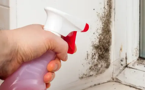 Hand sprüht Schimmel an einer Fensterlaibung. Was tun bei Schimmel im Haus? Hier wird die Ursache bekämpft.