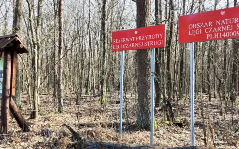 Rezerwaty przyrody w Warszawie - odkryj ukryte skarby natury