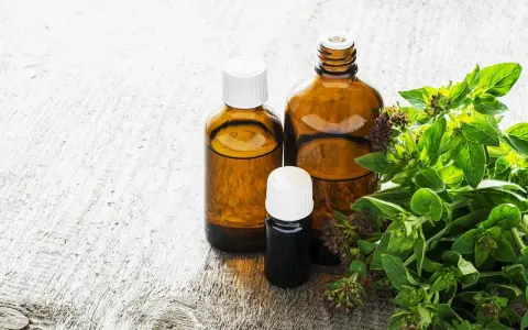 Butelki z olejkiem z oregano, pomocne w walce z grzybicą, obok świeżych gałązek tej rośliny.