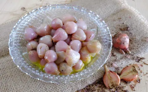 Lampascioni, bulbosi e saporiti, in una ciotola di vetro. Cosa sono? Delizie pugliesi sott'olio.