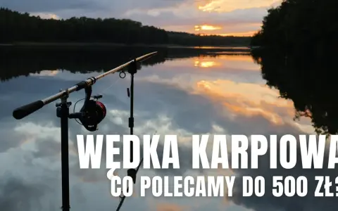 Wędka karpiowa na stojaku nad jeziorem o zachodzie słońca. Czy to najdroższa wędka do 500 zł?