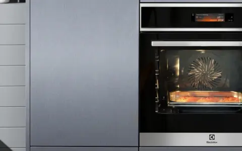 Horno de vapor AEG con salmón cocinándose en su interior.