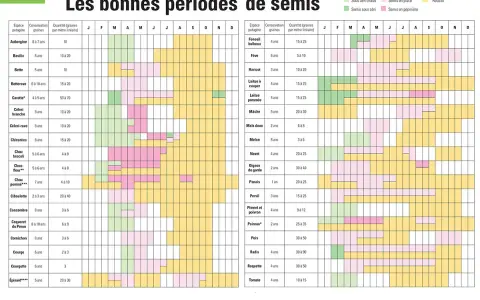 Quand semer les courgettes : ce tableau indique les périodes idéales pour semer et récolter, y compris pour les courgettes.