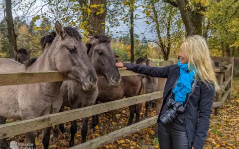Kobieta głaszcze koniki polskie w Roztoczańskim Parku Narodowym. Jesienne liście tworzą barwne tło.