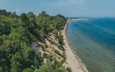 Mechelinki klif porośnięty drzewami, z piaszczystą plażą i turkusowym morzem. W oddali widać zabudowania i falochron.