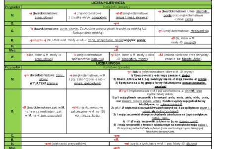 Tabela deklinacji rzeczowników żeńskich. Wpis "ten jaka to część mowy" odnosi się do kategorii gramatycznych.