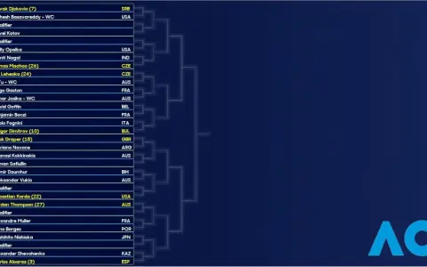 Cuadro masculino del Open de Australia con jugadores como Novak Djokovic y Carlos Alcaraz.