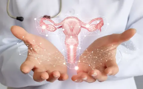 Mani di medico sorreggono utero stilizzato, connettività digitale. Informazioni sui tumore utero sintomi.