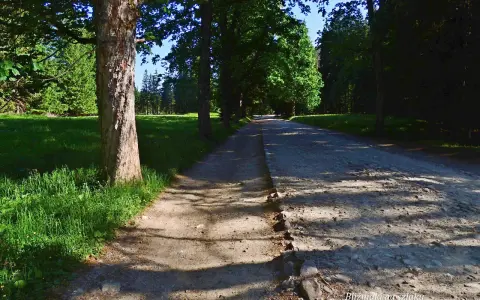 Bacówka w Dolinie Kościeliskiej: Autentyczny smak Tatr i praktyczne porady