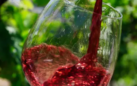 Roter Wein, was ist Pinot Noir? Ein Glas wird mit tiefrotem Wein gefüllt, der im Sonnenlicht glänzt. Grüne Weinblätter im Hintergrund.