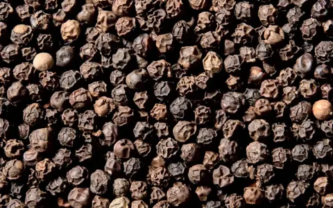 Ziarna czarnego pieprzu, z jednym jaśniejszym. Czy pieprz jest zdrowy? Tak, zawiera piperynę, która wspomaga trawienie i ma właściwości przeciwzapalne.