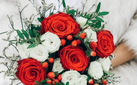 Un ramo de rosas rojas y blancas, adornado con bayas rojas y delicadas flores blancas, evoca la belleza de las flores de febrero.