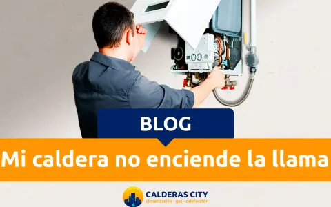 Técnico revisa caldera que no enciende la llama. Soluciones para tu hogar.