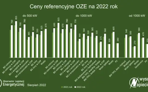 Aukcje OZE: Jak zapewnić stabilność inwestycji na 15 lat?