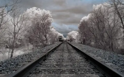 Voie ferrée menant à un train solitaire, bordée d'arbres aux feuilles blanches et d'un ciel orageux.