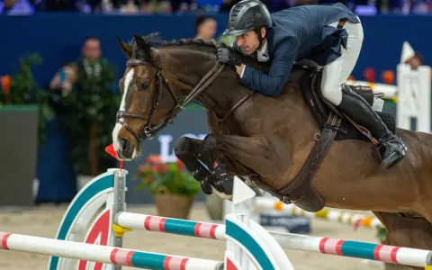 Reiter und Pferd im Sprung über ein Hindernis. Die Haltung des Reiters, die Anspannung des Pferdes und die elektrischen Sporen deuten auf einen spannenden Wettkampf hin.