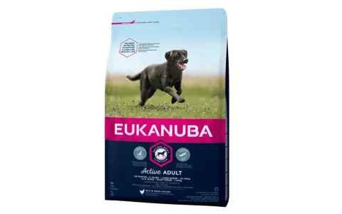 Sac de croquettes Eukanuba Active Adult pour chiens de grande race. Un choix recommandé par les vétérinaires pour une vie saine.