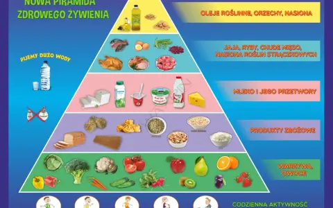 Nowa piramida zdrowego żywienia: warzywa, owoce, produkty zbożowe, nabiał, ryby, mięso, oleje, orzechy. Pij dużo wody!