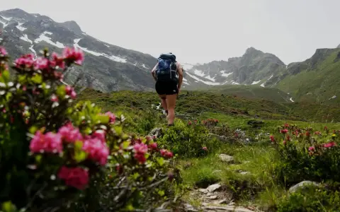 Kobieta z plecakiem idzie szlakiem wśród kwitnących rododendronów. W tle góry z resztkami śniegu. Sprawdź, jakie warunki na szlakach w Tatrach!