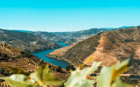 Atemberaubende Terrassenweinberge im Norden Portugals, die sich an steilen Hängen entlang des Flusses Douro erstrecken.