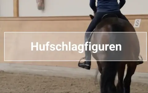 Reiter übt Hufschlagfiguren in einer Reithalle.