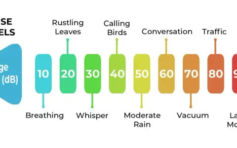 Graphique comparant les niveaux de bruit moyens en décibels (dB) : de la respiration (10 dB) à un orage (100 dB).
