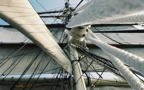 Vue en contre-plongée des voiles d'un voilier, avec le gréement dormant complexe et les cordages épais.