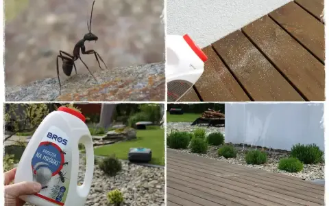Mrówki nie lubią proszku BROS. Zobacz, jak działa na drewnianym tarasie i w ogrodzie.
