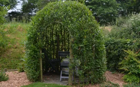 Un abri naturel formé par une **haie osier vivant**, avec des sièges et une table à l'intérieur, invitant à la détente.