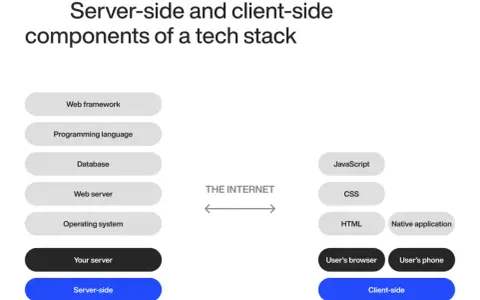 Server- und Client-seitige Komponenten einer Web-Applikation: Web-Framework, Programmiersprache, Datenbank, Webserver, Betriebssystem auf der Serverseite; JavaScript, CSS, HTML, native App auf der Clientseite.