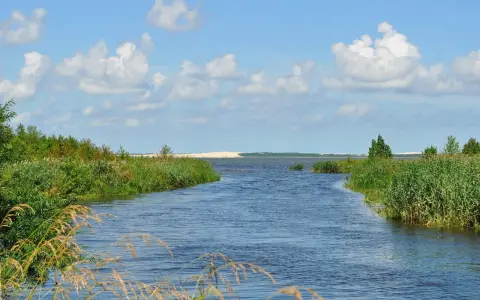 Spokojne jezioro na wybrzeżu słowińskim, otoczone zielenią i trzcinami, z piaszczystymi wydmami w oddali pod błękitnym niebem.