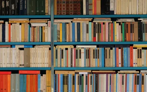 Estanterías llenas de libros con títulos variados, una biblioteca repleta de historias esperando ser descubiertas.