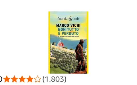 Copertina del libro "Non tutto è perduto" di Marco Vichi, un'avventura del commissario Bordelli. La copertina mostra un uomo di spalle con un cappello, sullo sfondo una collina con alberi e una cupola rossa.