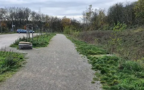 Gravel path leading to the Halde Rungenberg parken. Cars are parked on the left, with trees and overgrown grass lining the path.