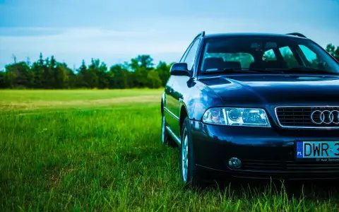 Ciemny Audi A4 B6 2.0 benzyna na tle zielonej łąki i lasu.