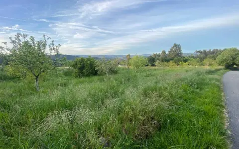 Prado verde con árboles y colinas al fondo, ideal para rutas de senderismo en Betanzos.