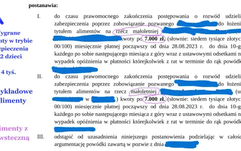 Koszty pozwu o alimenty u adwokata: Jak oszczędzić i wygrać?