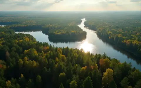 Malowniczy krajobraz Borów Tucholskich z krętą rzeką i jesiennymi drzewami. Idealne miejsce na odkrywanie atrakcji przyrodniczych.