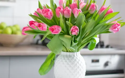 Piękny bukiet różowych tulipanów w białym wazonie. Dowiedz się, jak ułożyć tulipany w wazonie, by cieszyć się ich urokiem.