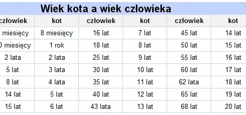 Jak liczyć wiek dziecka w hotelu, aby uniknąć nieprzyjemnych niespodzianek