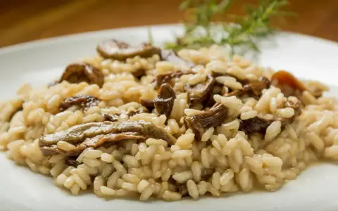Kremowe risotto z grzybami na białym talerzu, udekorowane gałązką rozmarynu.
