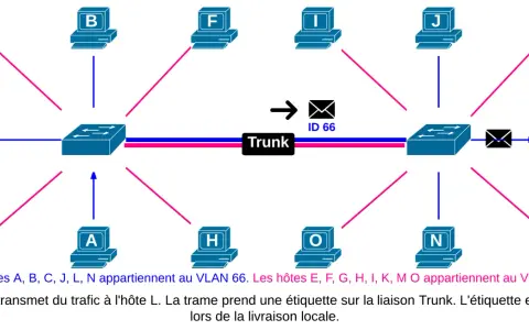 Schéma réseau montrant des ordinateurs connectés à des commutateurs via une liaison Trunk. L'hôte A communique avec L.